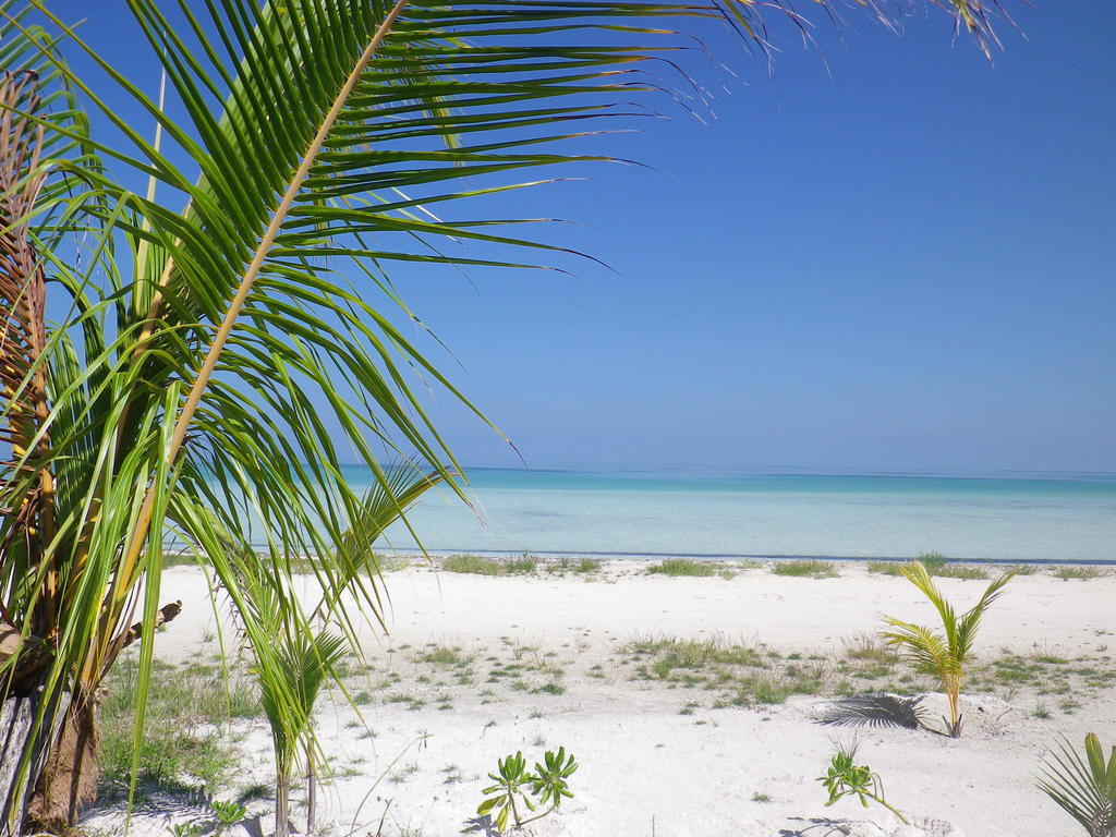 Willa Casa Cereza Isla Holbox Zewnętrze zdjęcie